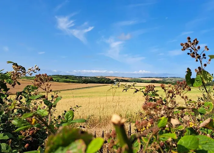 La Maisonnette De Camillou Calais